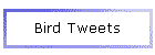 Bird Tweets
