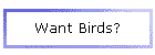 Want Birds?
